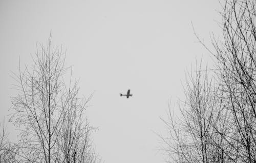 Photos gratuites de arrière-plan, avion, bnw