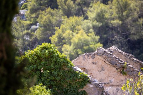 Free Abandoned stone ruins covered in vines amidst lush greenery on Hvar, Croatia. Stock Photo