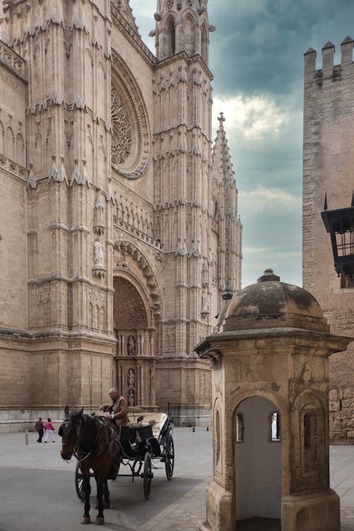 Immagine gratuita di cattedrale di palma, chiesa, facciata