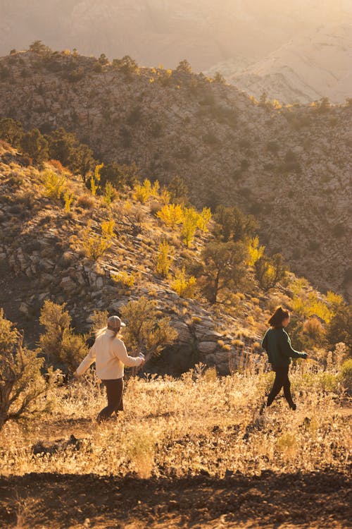 Two people walking in the mountains with a dog