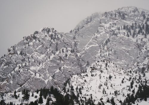 Free Snow-covered rocky mountains with scattered trees in Salt Lake City, Utah. Stock Photo