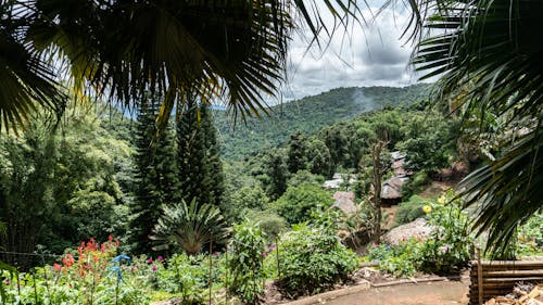 Fotos de stock gratuitas de chiang mai, Tailandia