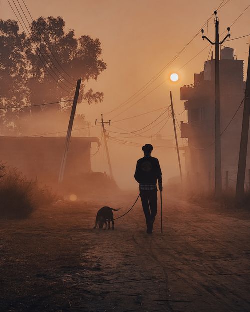 Free Man walking a dog on a misty Ludhiana street at sunrise, creating an atmospheric silhouette against the urban backdrop. Stock Photo