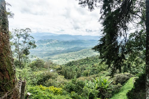 Fotos de stock gratuitas de chiang mai, Tailandia