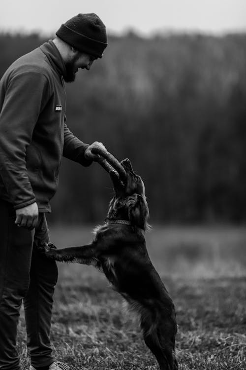 adam, ayakta, çalmak içeren Ücretsiz stok fotoğraf