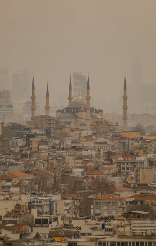 A view of the city with many buildings and a mosque