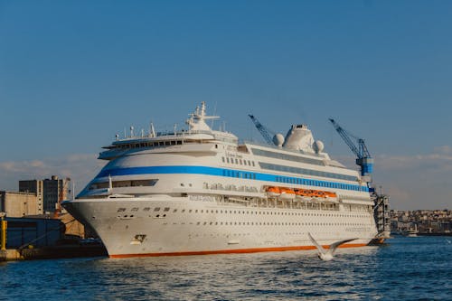 A large cruise ship is docked in a harbor