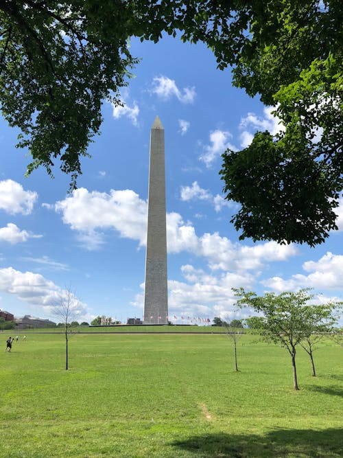 The washington monument is seen from a grassy area