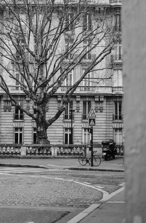Foto stok gratis hitam & putih, jalan, jalan-jalan kota