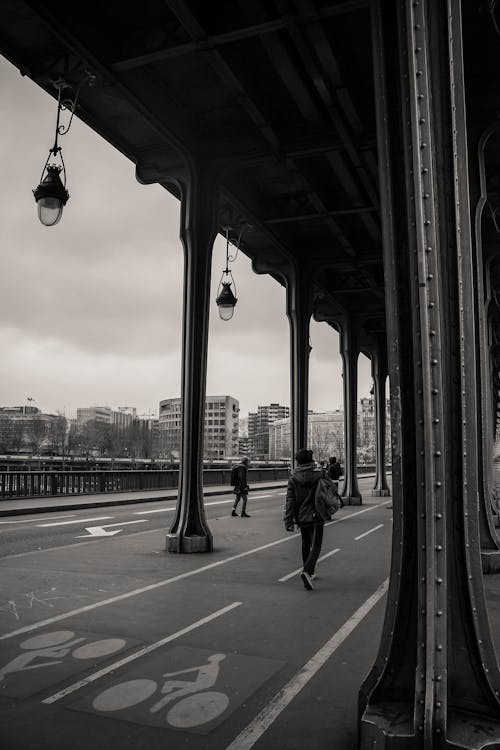 Základová fotografie zdarma na téma černobílý, cestování, cyklostezka