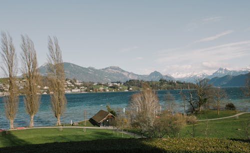 A view of a lake and mountains from a grassy area