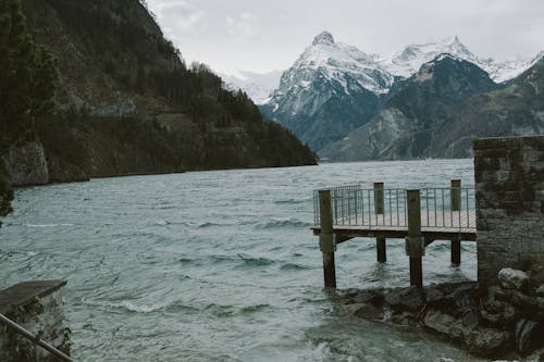 Foto profissional grátis de árvores, cais, lago