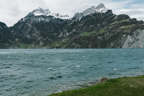 スイス, ルツェルン湖, 山岳の無料の写真素材