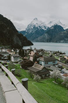 Image by Alina  Rossoshanska