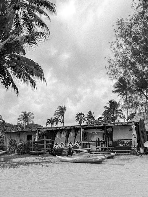 Black and white photo of a beach with a house and surfboards