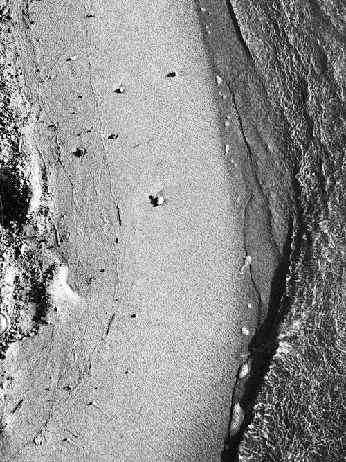 A black and white photo of a beach