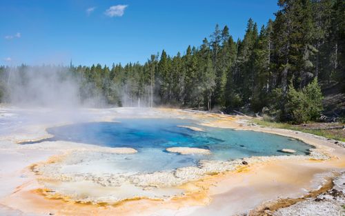 Free Beautiful geyser with colorful pools and steam in Yellowstone's forest. Stock Photo