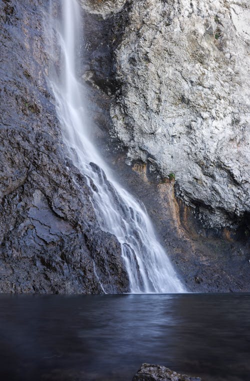 Безкоштовне стокове фото на тему «H2O, yellowstone, басейн»