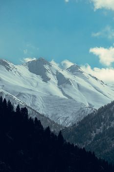 Scenic winter landscape with snow-capped peaks and dense evergreen forest under a clear blue sky.