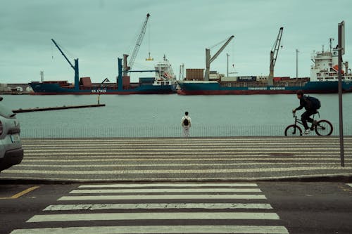 Homme Près Du Port