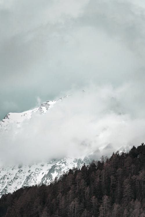 Montaña Blanca Y Negra