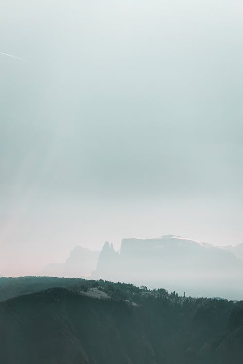 Foto d'estoc gratuïta de a l'aire lliure, amb boira, arbres