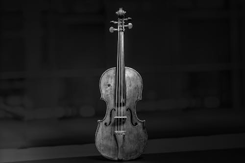 A black and white photo of a violin