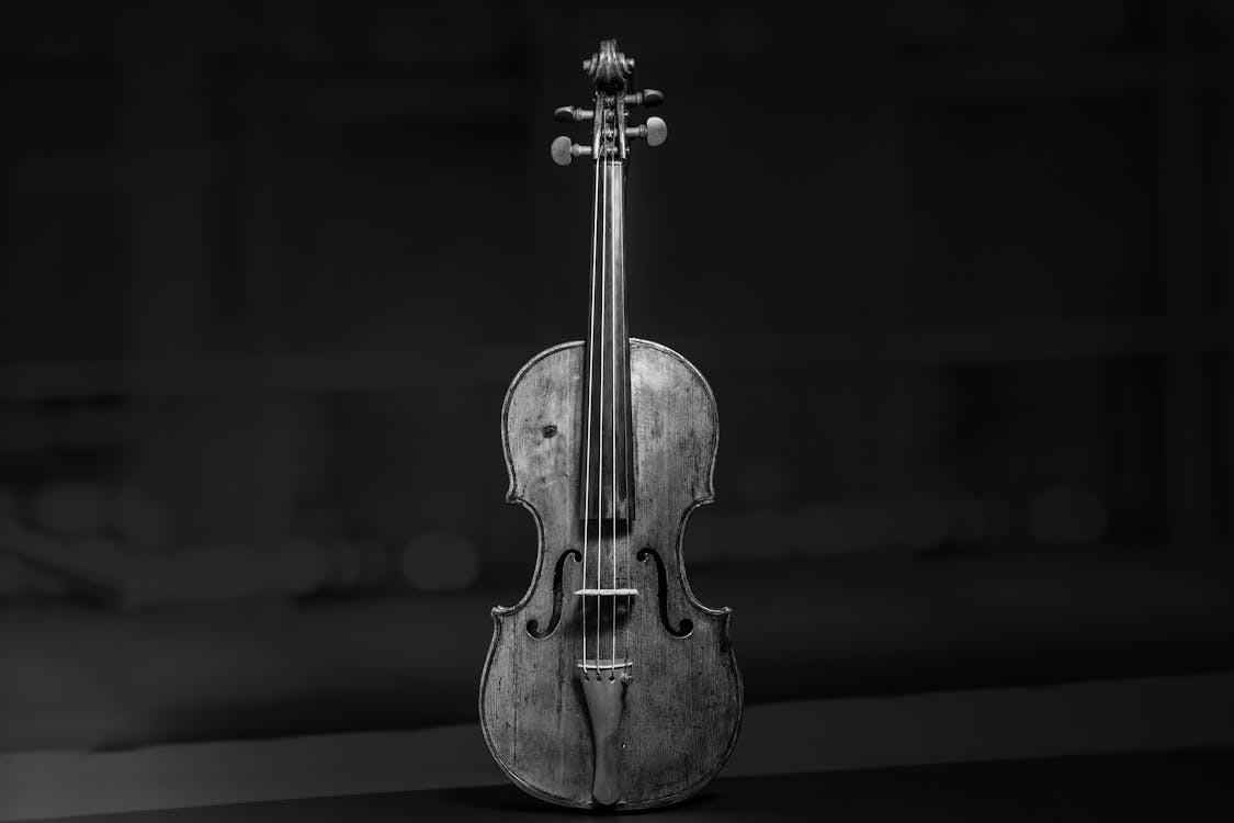 A black and white photo of a violin