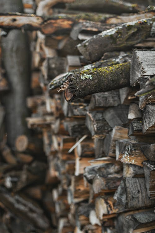 Fotobanka s bezplatnými fotkami na tému drevená guľatina, drevený, drevo