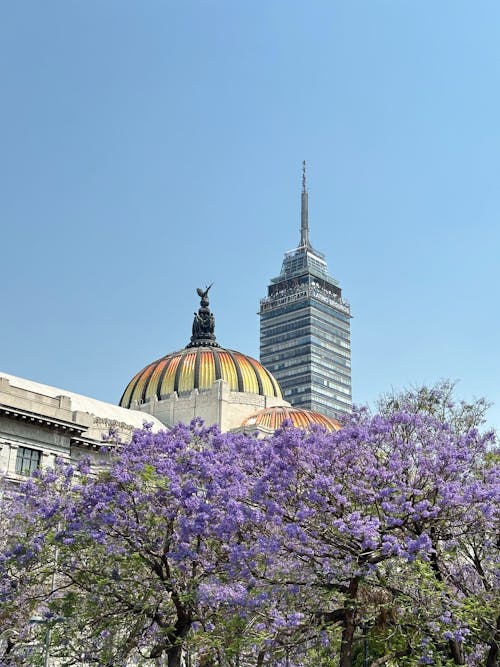 고층 건물, 궁전 미술, 꽃의 무료 스톡 사진