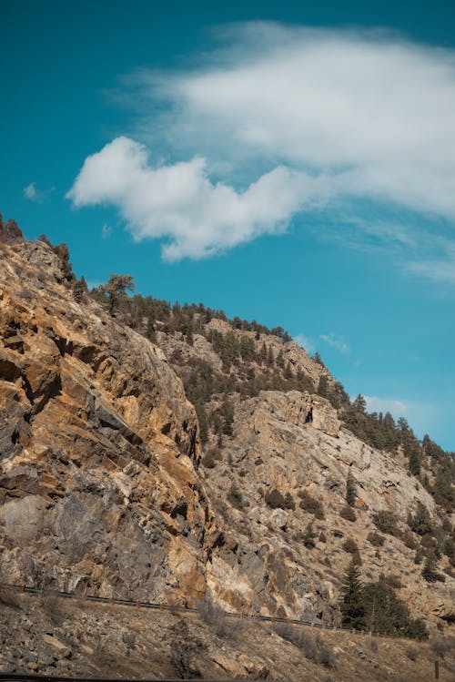 Foto profissional grátis de árvores, áspero, céu azul