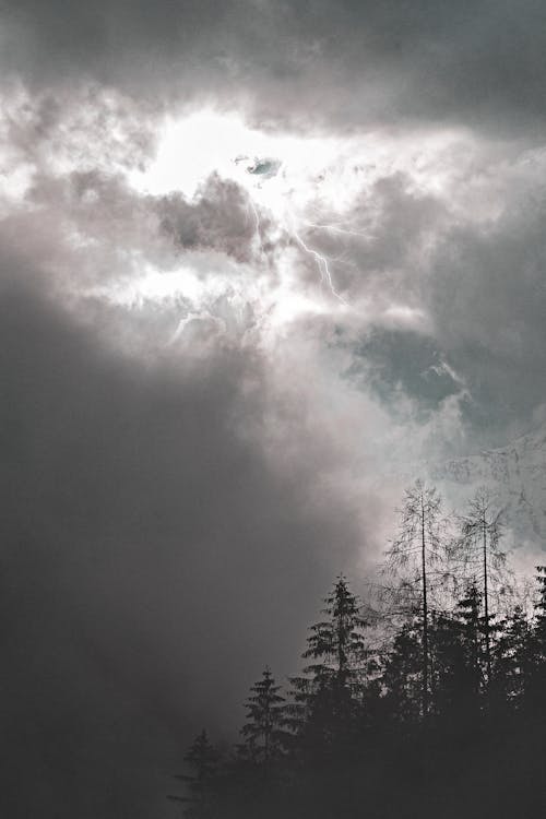 Ingyenes stockfotó ég, fák, felhők témában Stockfotó