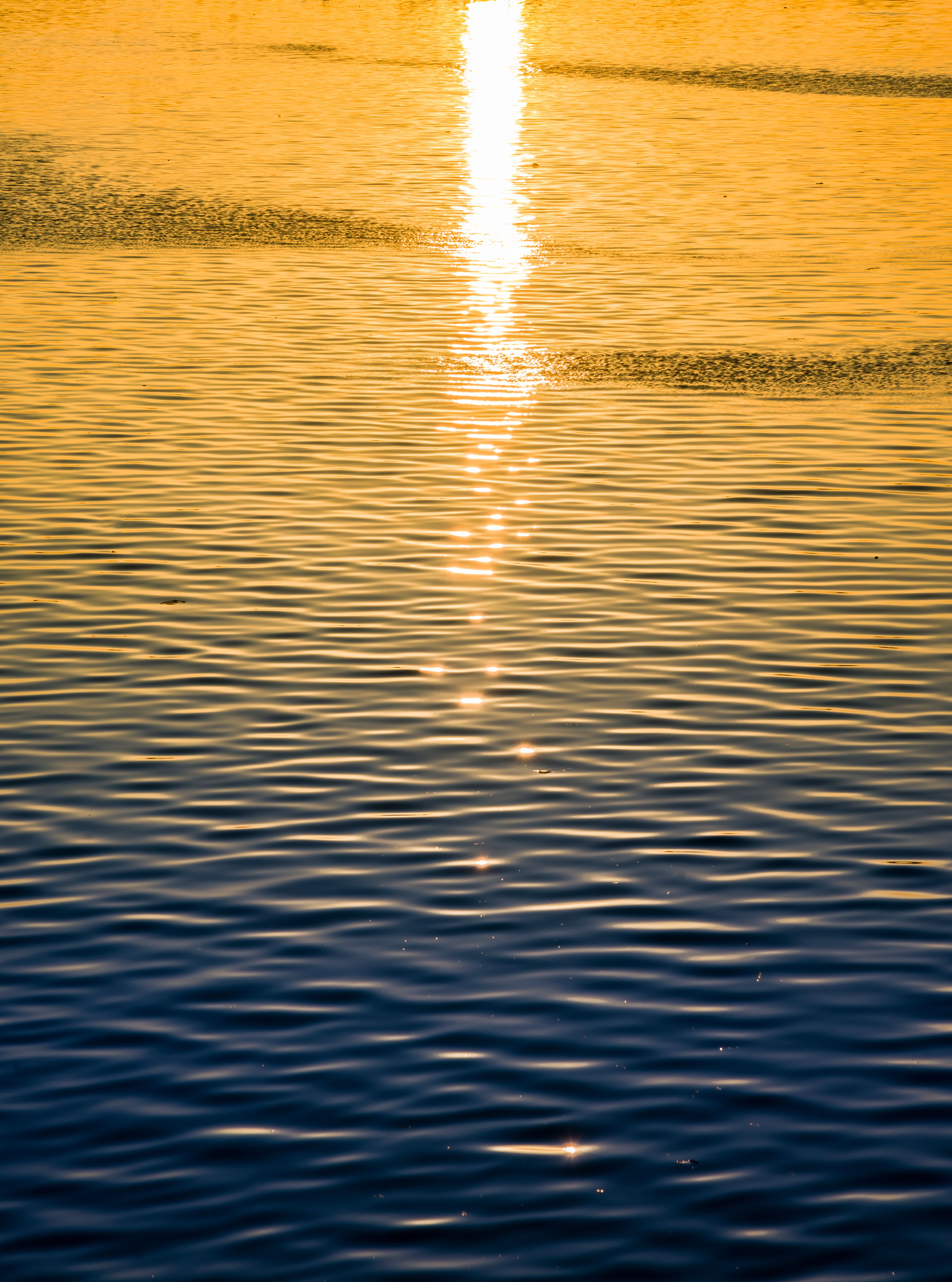 Close-up of Sunlight Reflecting in Water Surface · Free Stock Photo