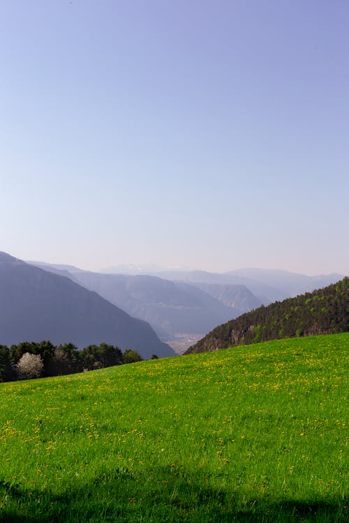 Free Landscape Photography of Green Grass Field Stock Photo