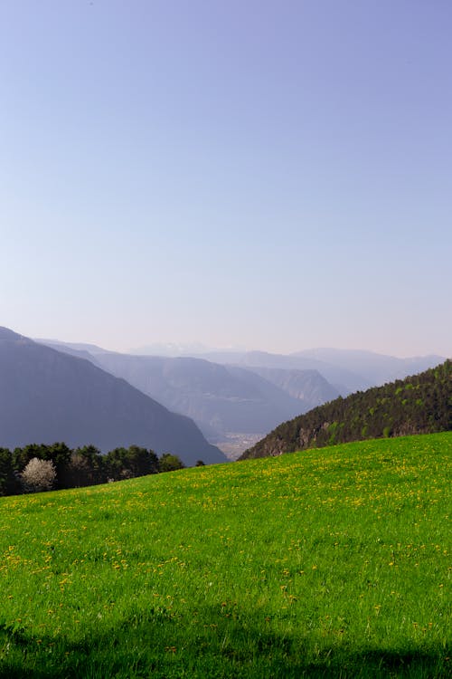 Gratis lagerfoto af bjerge, dagslys, græs