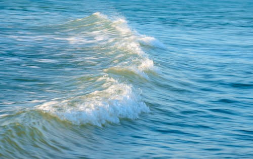 Sea Wave in Motion