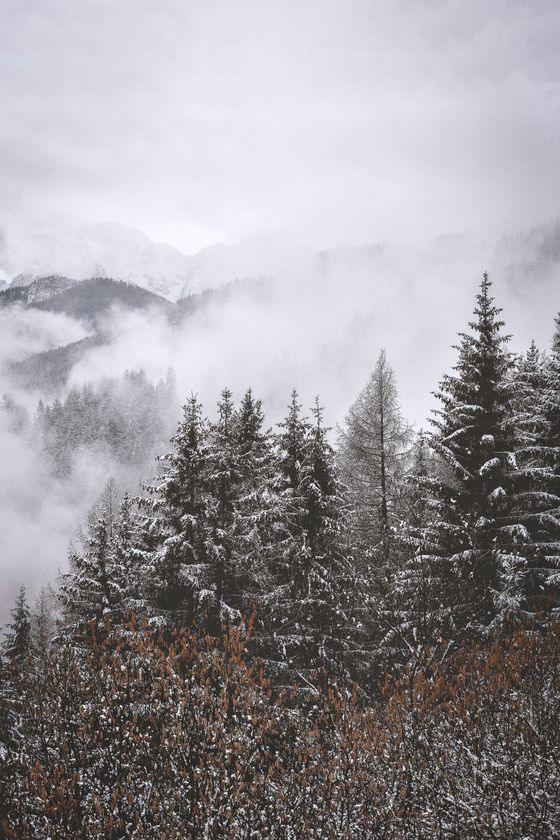 Fog over a snow ridge
