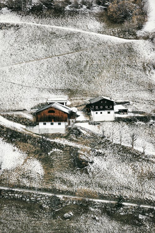 Bird's Eye View Of Houses