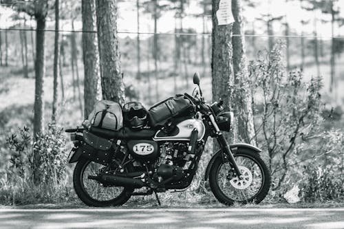 A black and white photo of a motorcycle parked in the woods