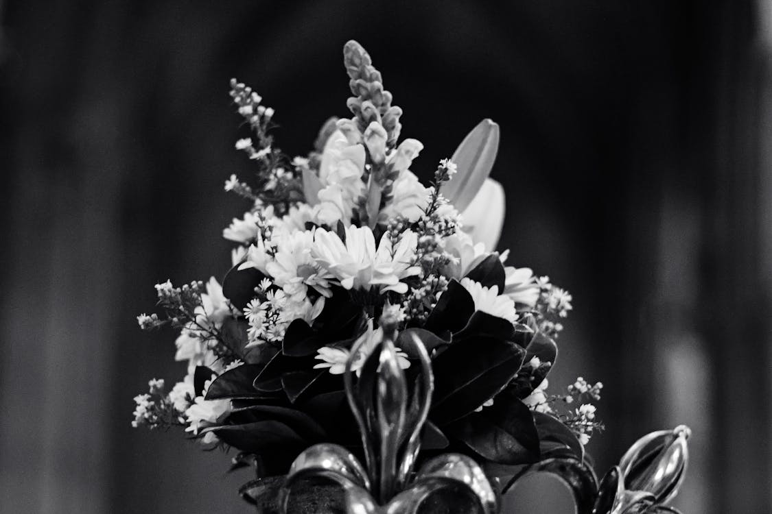 Δωρεάν στοκ φωτογραφιών με ασπρόμαυρο, έκθεση, λουλούδια