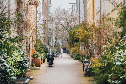 Kostnadsfri bild av cykel, Europa, fjäder