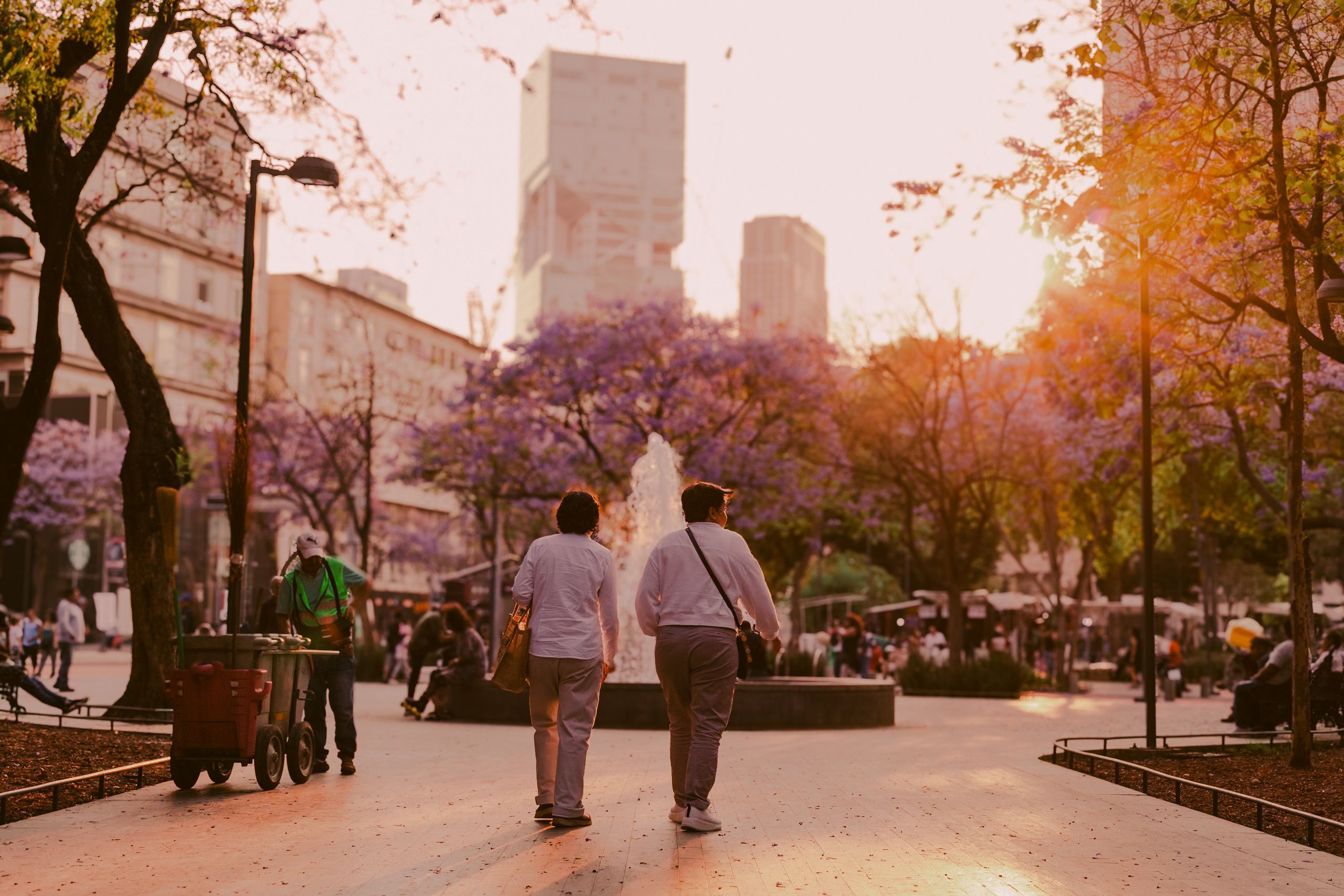 Mosaic pavement and jacaranda trees along the wide boulevard of Avenida da Liberdade