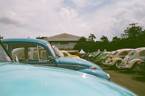 Free A vibrant display of classic Volkswagen Beetles lined up at an outdoor car show. Stock Photo