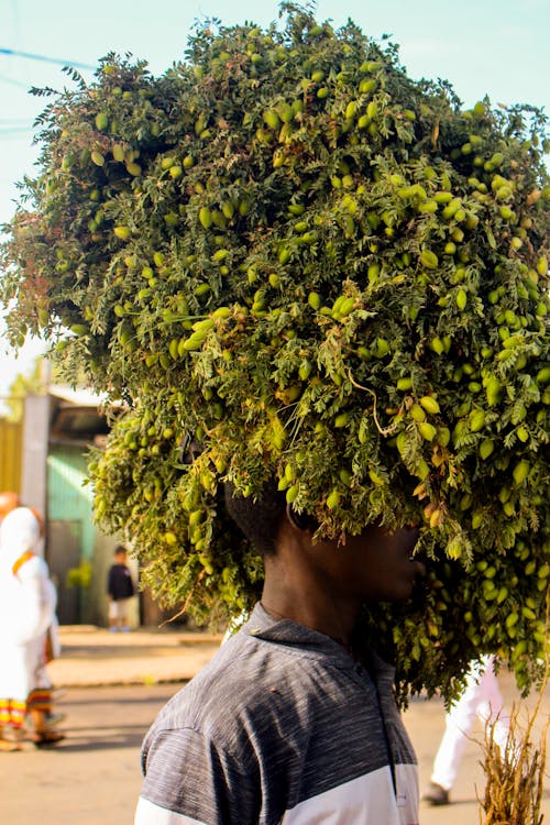 Бесплатное стоковое фото с аддис-абеба, Африка, благочестивый