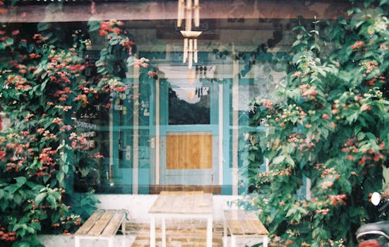 Rustic wooden door surrounded by greenery and red flowers, creating a cozy garden entrance.