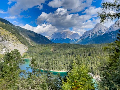 Foto profissional grátis de árvores, Áustria, blindsee