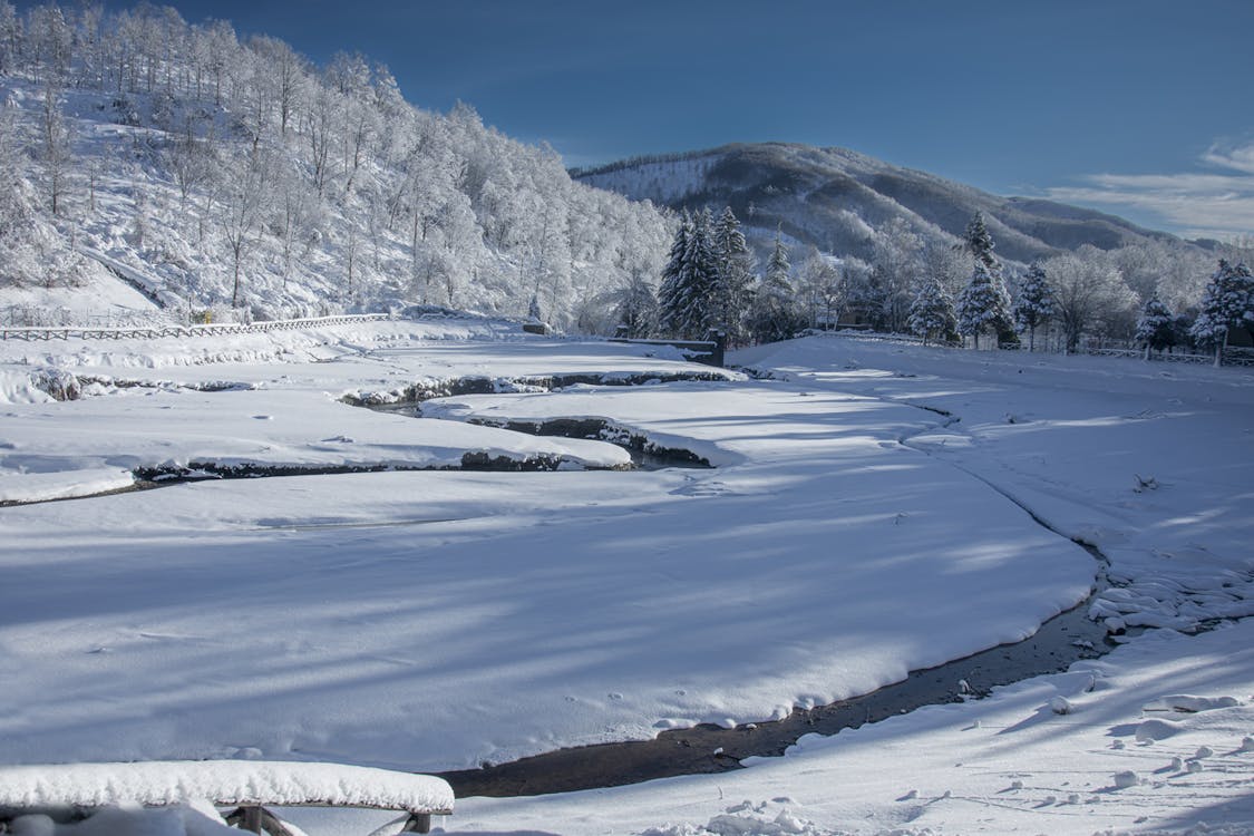 Бесплатное стоковое фото с зима, обои, пейзаж