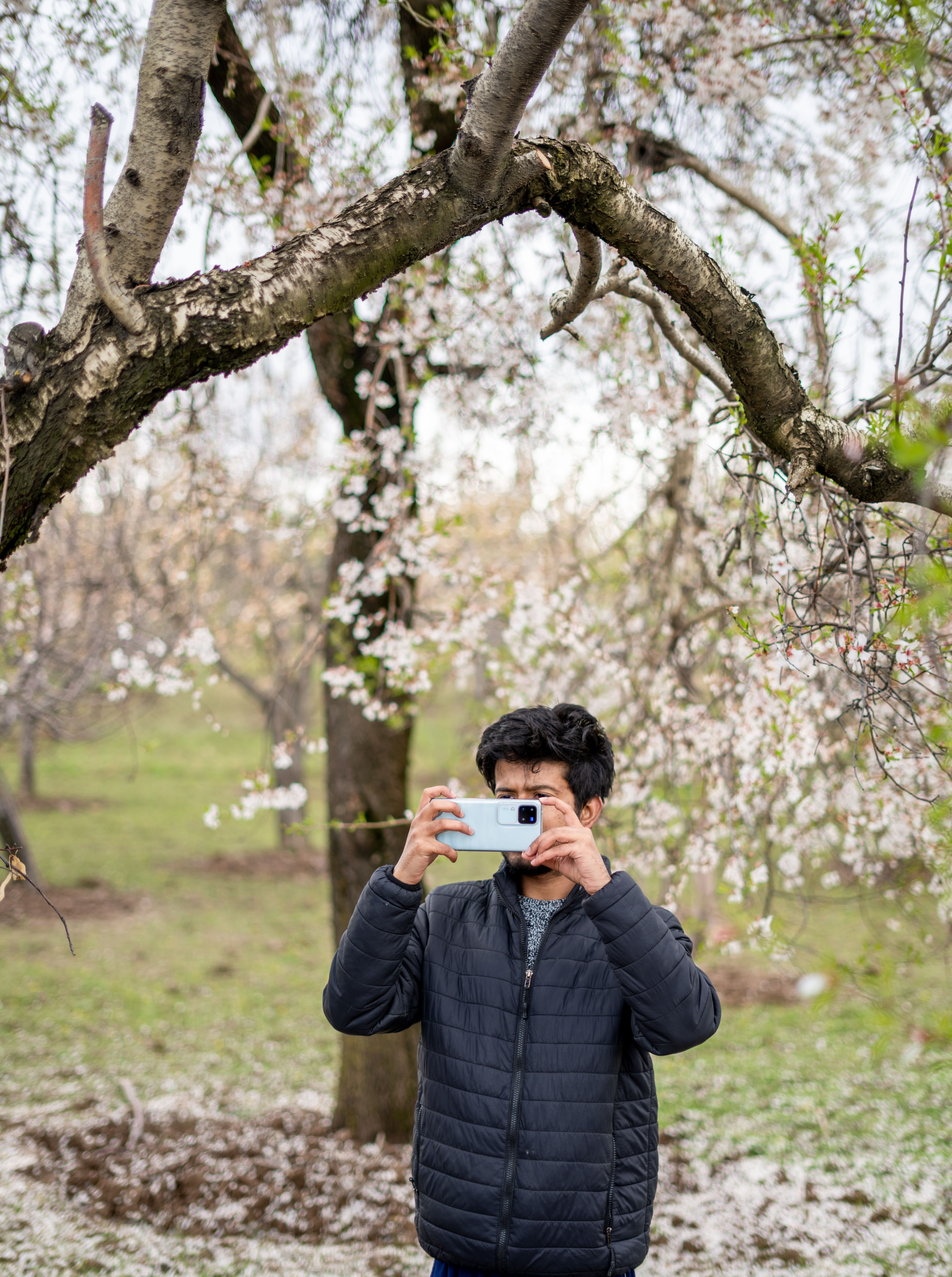 Man Standing and Taking Pictures with Smartphone in Spring · Free Stock ...