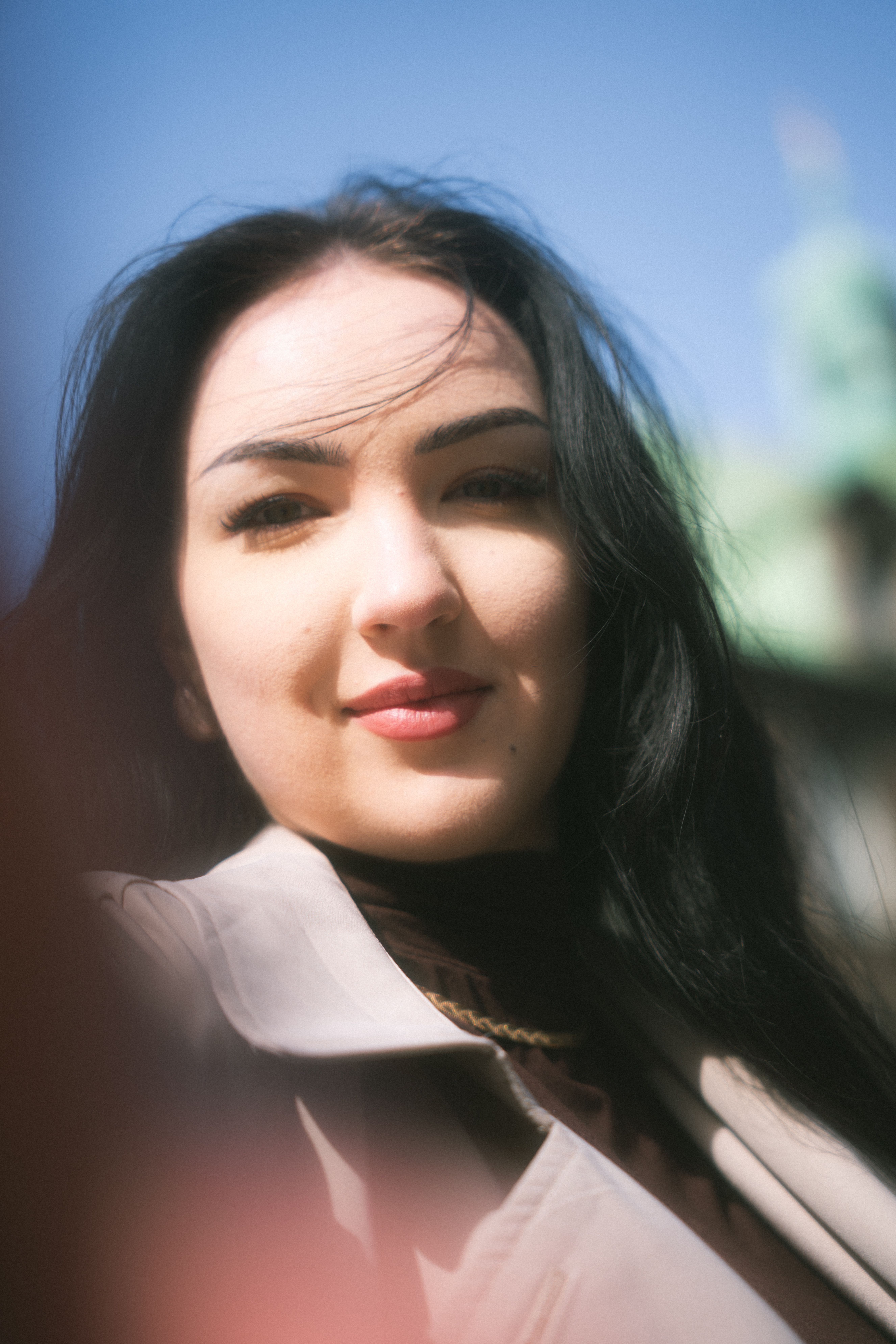 Portrait of Woman with Black Hair · Free Stock Photo