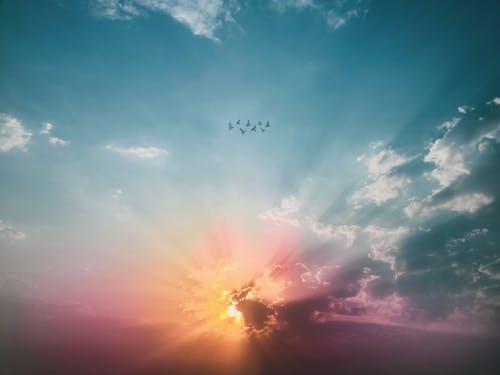 Fotobanka s bezplatnými fotkami na tému dramatická obloha, farebný, kŕdeľ vtákov